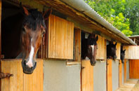 free Lower Common stable construction quotes